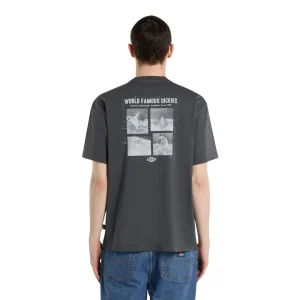 DICKIES WOLFHURST SS TEE | CAMISETA DE MANGA CORTA